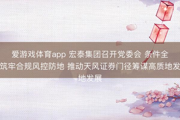 爱游戏体育app 宏泰集团召开党委会 条件全面筑牢合规风控防地 推动天风证券门径筹谋高质地发展