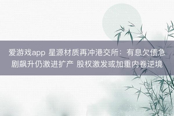 爱游戏app 星源材质再冲港交所:有息欠债急剧飙升仍激进扩产 股权激发或加重内卷逆境