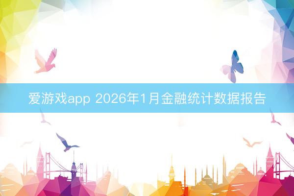 爱游戏app 2026年1月金融统计数据报告