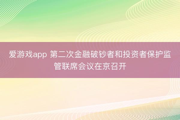 爱游戏app 第二次金融破钞者和投资者保护监管联席会议在京召开
