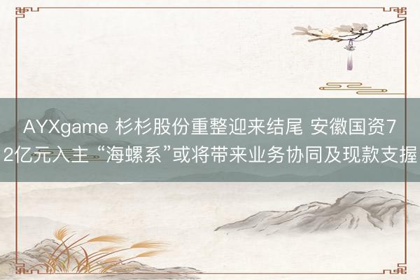 AYXgame 杉杉股份重整迎来结尾 安徽国资72亿元入主 “海螺系”或将带来业务协同及现款支握