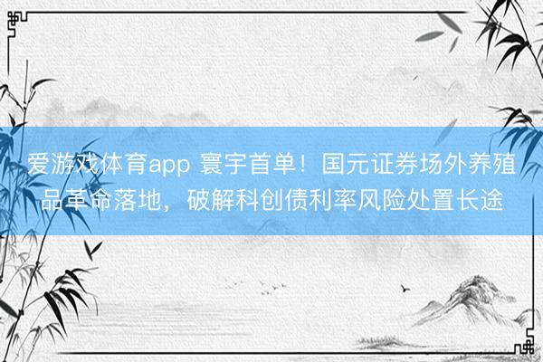 爱游戏体育app 寰宇首单！国元证券场外养殖品革命落地，破解科创债利率风险处置长途