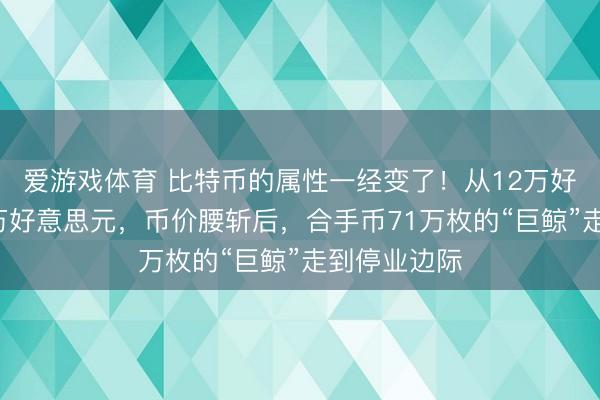 爱游戏体育 比特币的属性一经变了！从12万好意思元到6万好意思元，币价腰斩后，合手币71万枚的“巨鲸”走到停业边际