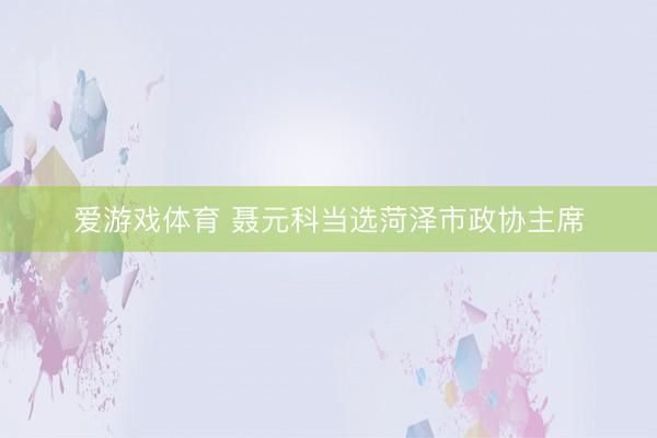 爱游戏体育 聂元科当选菏泽市政协主席