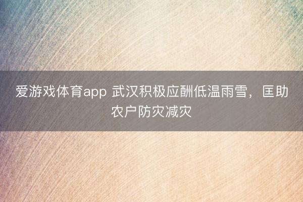 爱游戏体育app 武汉积极应酬低温雨雪，匡助农户防灾减灾