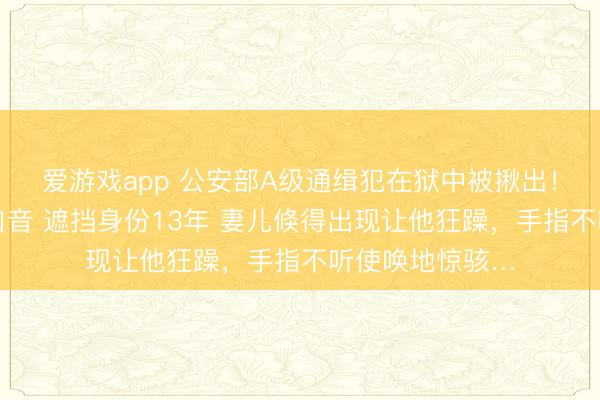 爱游戏app 公安部A级通缉犯在狱中被揪出！从不使用真确口音 遮挡身份13年 妻儿倏得出现让他狂躁，手指不听使唤地惊骇…