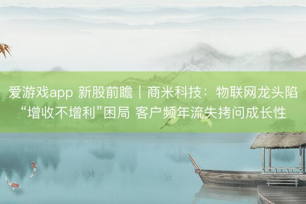爱游戏app 新股前瞻｜商米科技：物联网龙头陷“增收不增利”困局 客户频年流失拷问成长性