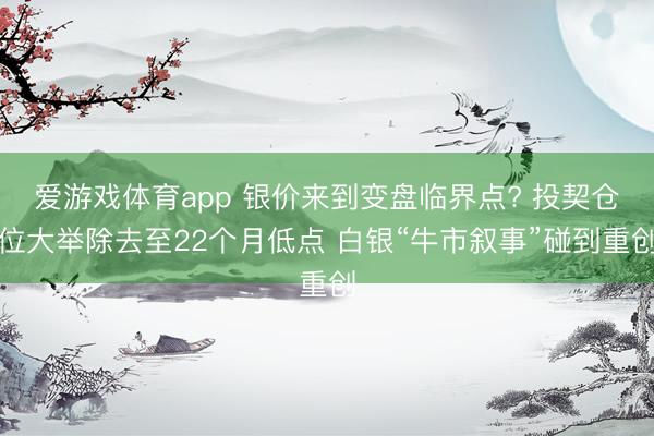 爱游戏体育app 银价来到变盘临界点? 投契仓位大举除去至22个月低点 白银“牛市叙事”碰到重创