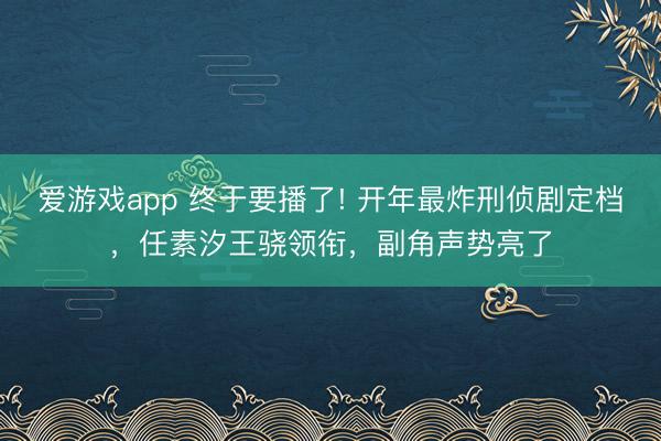爱游戏app 终于要播了! 开年最炸刑侦剧定档，任素汐王骁领衔，副角声势亮了