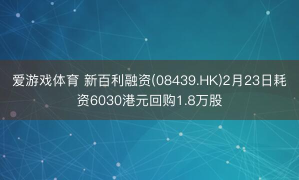 爱游戏体育 新百利融资(08439.HK)2月23日耗资6030港元回购1.8万股