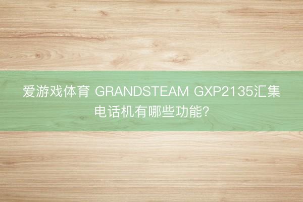 爱游戏体育 GRANDSTEAM GXP2135汇集电话机有哪些功能？