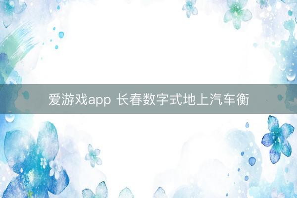 爱游戏app 长春数字式地上汽车衡