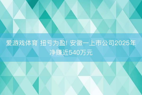 爱游戏体育 扭亏为盈! 安徽一上市公司2025年净赚近540万元
