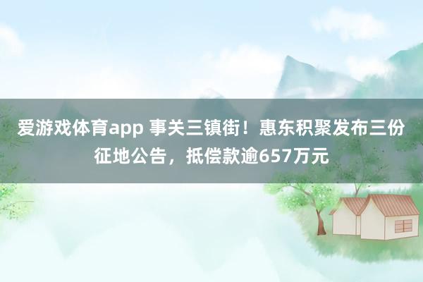 爱游戏体育app 事关三镇街！惠东积聚发布三份征地公告，抵偿款逾657万元