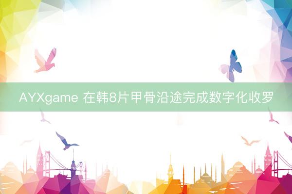 AYXgame 在韩8片甲骨沿途完成数字化收罗