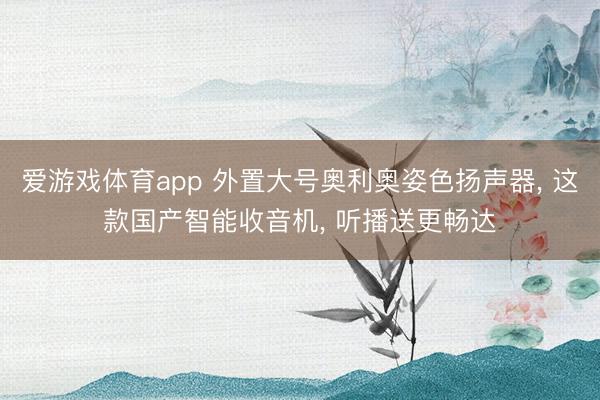 爱游戏体育app 外置大号奥利奥姿色扬声器, 这款国产智能收音机, 听播送更畅达