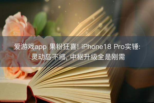 爱游戏app 果粉狂喜! iPhone18 Pro实锤: 灵动岛不缩, 中枢升级全是刚需