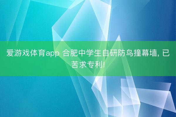 爱游戏体育app 合肥中学生自研防鸟撞幕墙, 已苦求专利!