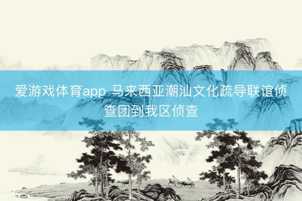 爱游戏体育app 马来西亚潮汕文化疏导联谊侦查团到我区侦查