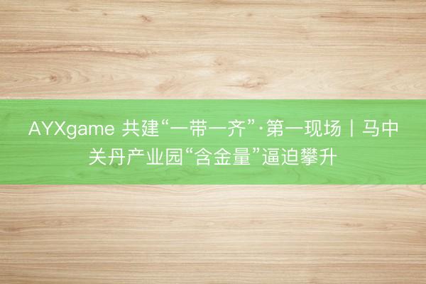 AYXgame 共建“一带一齐”·第一现场丨马中关丹产业园“含金量”逼迫攀升