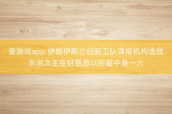 爱游戏app 伊朗伊斯兰创新卫队谍报机构造就东说念主在好意思以弥留中身一火