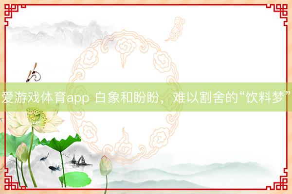 爱游戏体育app 白象和盼盼,难以割舍的“饮料梦”