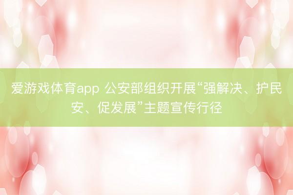 爱游戏体育app 公安部组织开展“强解决、护民安、促发展”主题宣传行径
