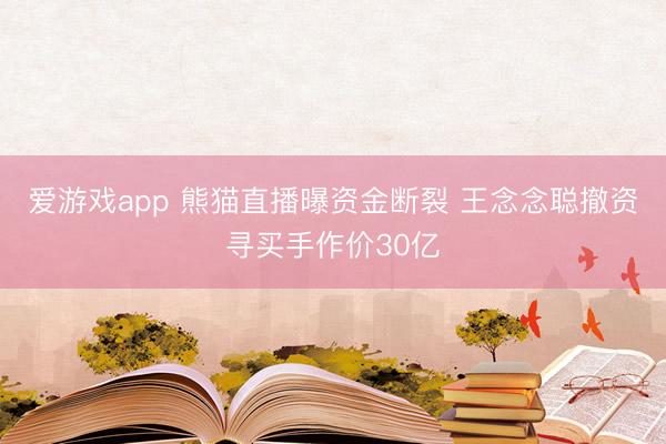 爱游戏app 熊猫直播曝资金断裂 王念念聪撤资寻买手作价30亿