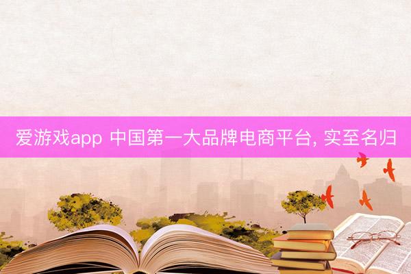 爱游戏app 中国第一大品牌电商平台， 实至名归