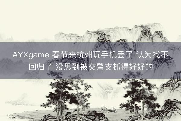 AYXgame 春节来杭州玩手机丢了 认为找不回归了 没思到被交警支抓得好好的