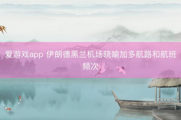 爱游戏app 伊朗德黑兰机场晓喻加多航路和航班频次