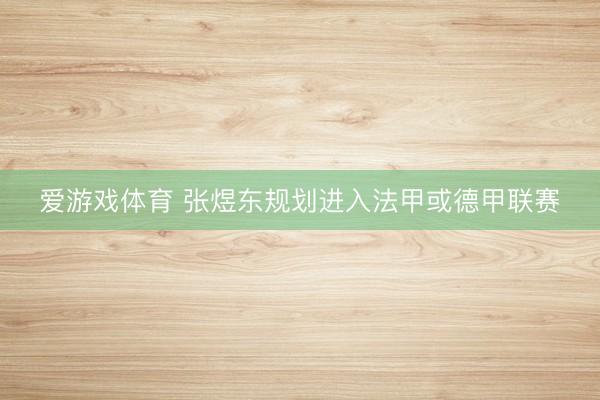 爱游戏体育 张煜东规划进入法甲或德甲联赛