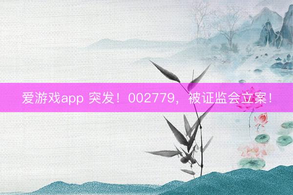 爱游戏app 突发！002779，被证监会立案！