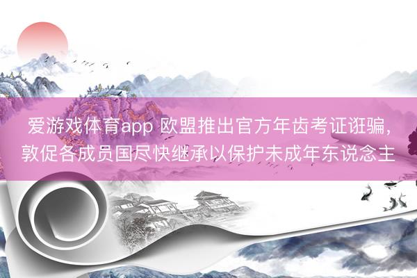 爱游戏体育app 欧盟推出官方年齿考证诳骗，敦促各成员国尽快继承以保护未成年东说念主