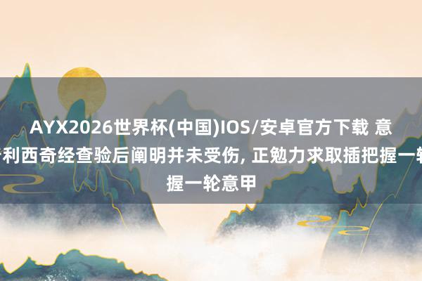 AYX2026世界杯(中国)IOS/安卓官方下载 意媒: 普利西奇经查验后阐明并未受伤， 正勉力求取插把握一轮意甲