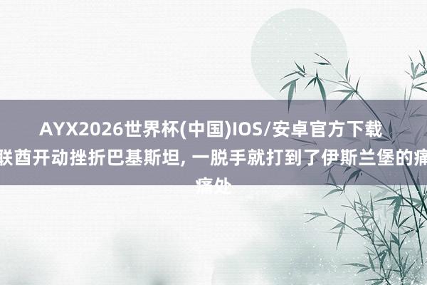 AYX2026世界杯(中国)IOS/安卓官方下载 阿联酋开动挫折巴基斯坦， 一脱手就打到了伊斯兰堡的痛处
