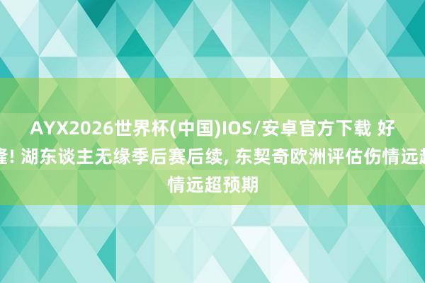 AYX2026世界杯(中国)IOS/安卓官方下载 好天轰隆! 湖东谈主无缘季后赛后续， 东契奇欧洲评估伤情远超预期