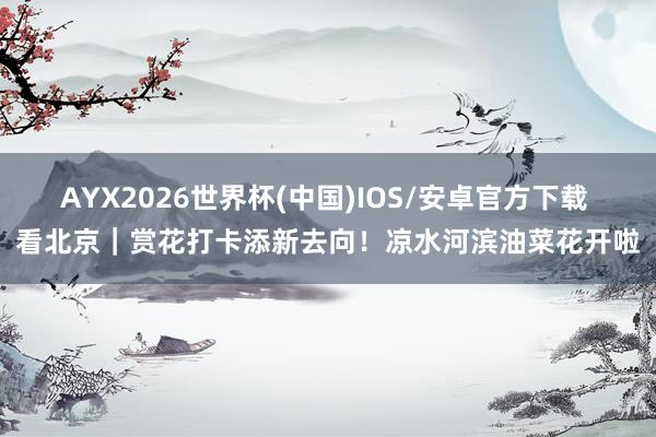 AYX2026世界杯(中国)IOS/安卓官方下载 看北京｜赏花打卡添新去向！凉水河滨油菜花开啦