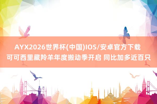 AYX2026世界杯(中国)IOS/安卓官方下载 可可西里藏羚羊年度搬动季开启 同比加多近百只