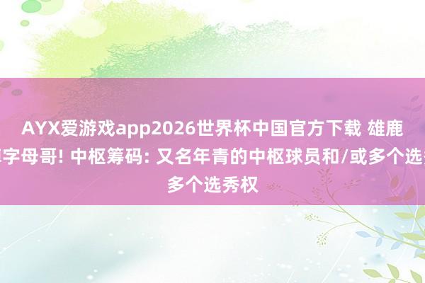 AYX爱游戏app2026世界杯中国官方下载 雄鹿毁掉字母哥! 中枢筹码: 又名年青的中枢球员和/或多个选秀权