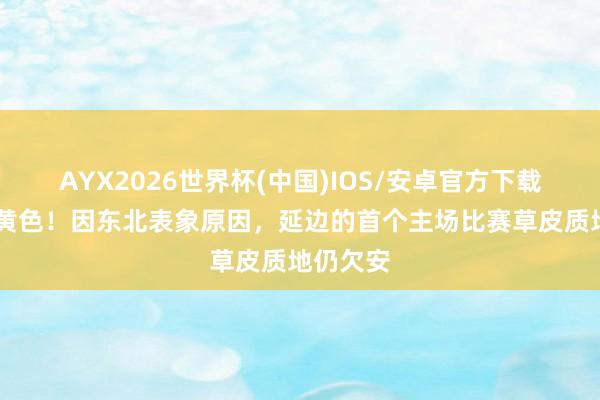 AYX2026世界杯(中国)IOS/安卓官方下载 一派土黄色！因东北表象原因，延边的首个主场比赛草皮质地仍欠安