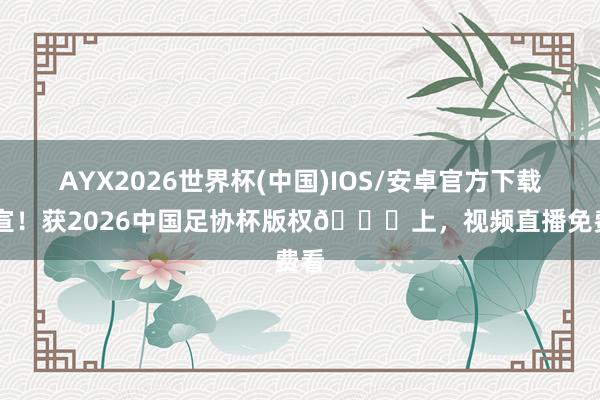AYX2026世界杯(中国)IOS/安卓官方下载 官宣!获2026中国足协杯版权🎉上,视频直播免费看