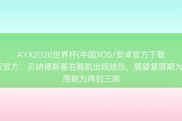 AYX2026世界杯(中国)IOS/安卓官方下载 博洛尼亚官方：贝纳德斯基右髂肌出现挫伤，展望复原期为两到三周