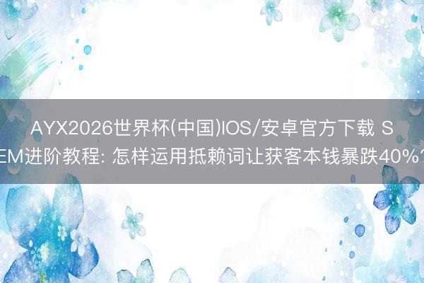 AYX2026世界杯(中国)IOS/安卓官方下载 SEM进阶教程: 怎样运用抵赖词让获客本钱暴跌40%?