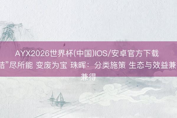 AYX2026世界杯(中国)IOS/安卓官方下载 “秸”尽所能 变废为宝 珠晖：分类施策 生态与效益兼得
