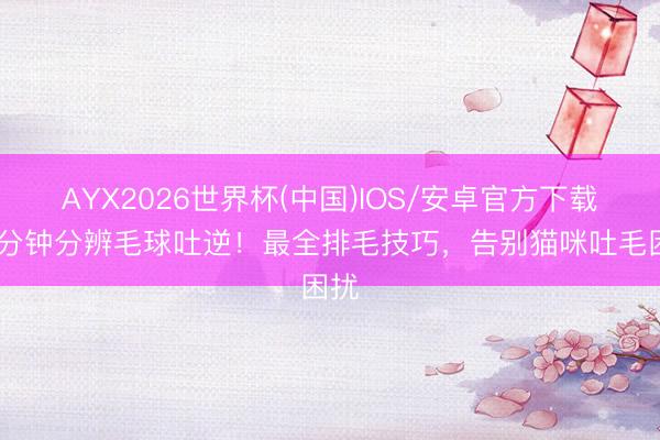 AYX2026世界杯(中国)IOS/安卓官方下载 一分钟分辨毛球吐逆!最全排毛技巧,告别猫咪吐毛困扰