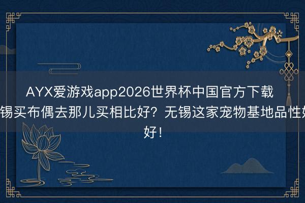 AYX爱游戏app2026世界杯中国官方下载 无锡买布偶去那儿买相比好?无锡这家宠物基地品性好!