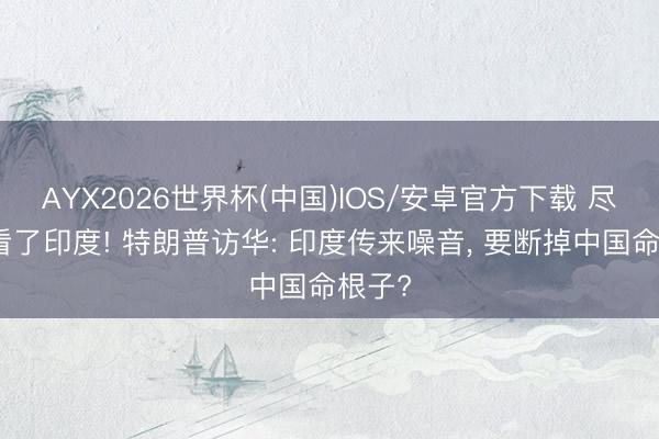 AYX2026世界杯(中国)IOS/安卓官方下载 尽然小看了印度! 特朗普访华: 印度传来噪音， 要断掉中国命根子?
