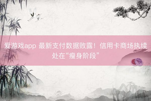爱游戏app 最新支付数据败露！信用卡商场执续处在“瘦身阶段”
