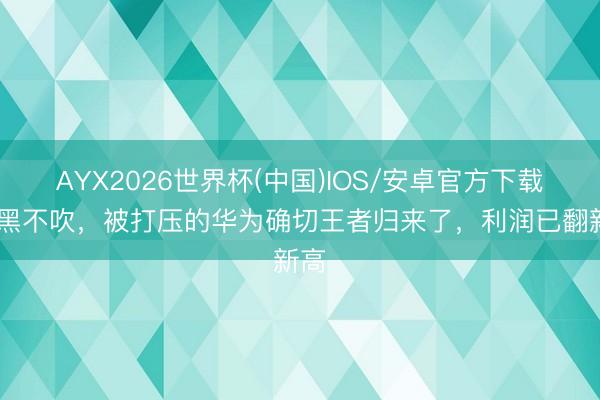 AYX2026世界杯(中国)IOS/安卓官方下载 不黑不吹，被打压的华为确切王者归来了，利润已翻新高